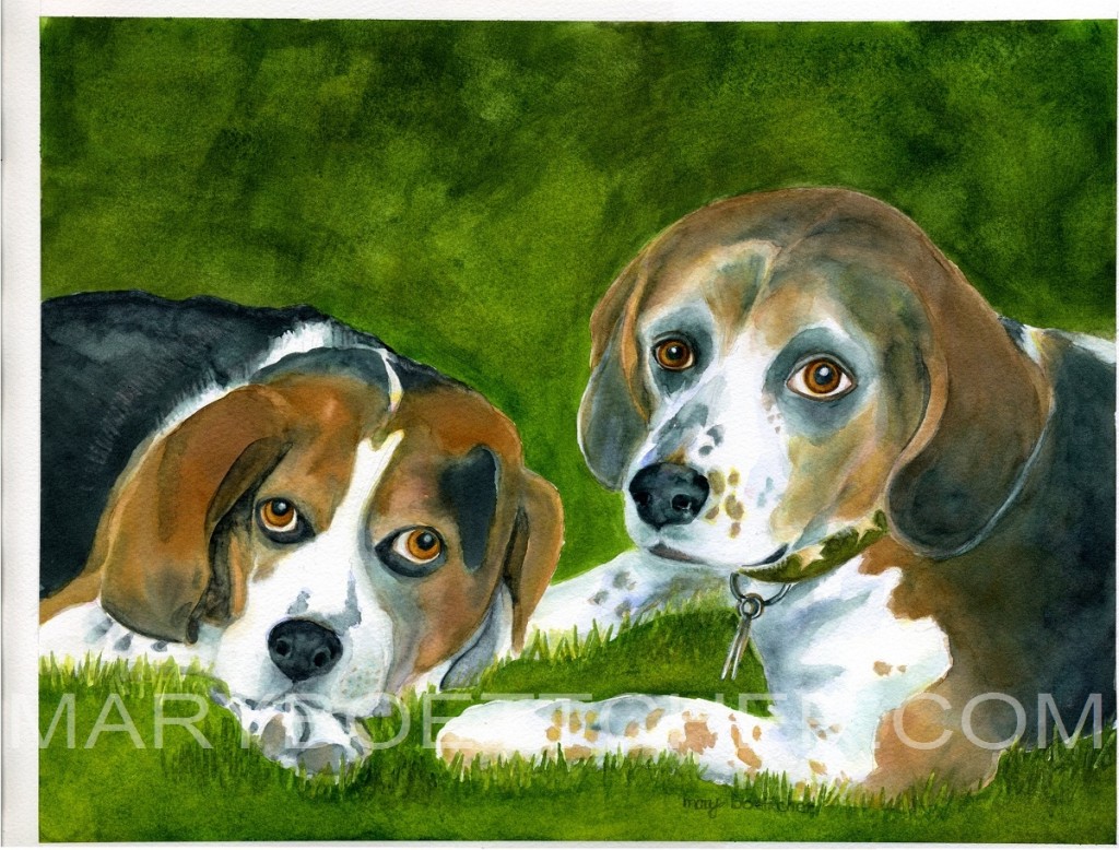 Two Beagles