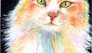 Custom Pet Portraits