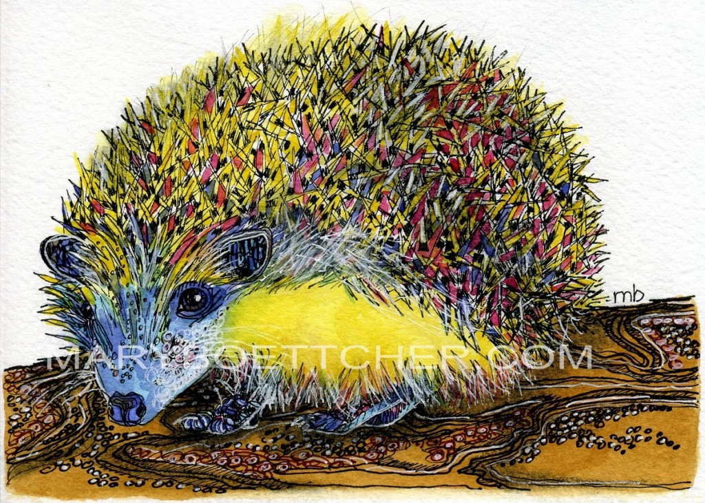 Hedgehog