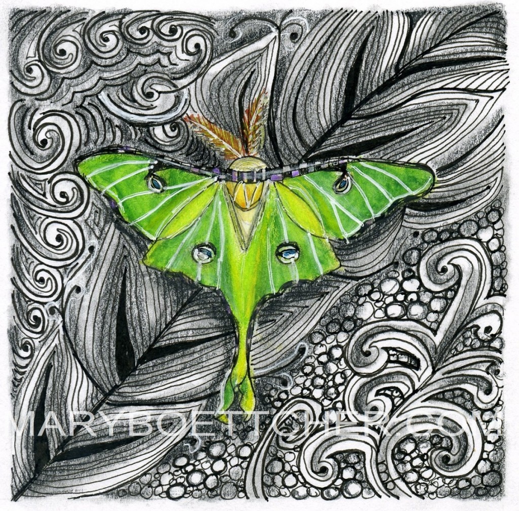 Luna Moth